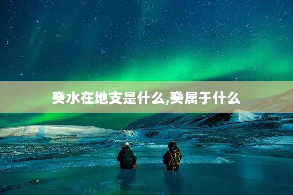 癸水在地支是什么,癸属于什么