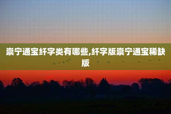 崇宁通宝纤字类有哪些,纤字版崇宁通宝稀缺版