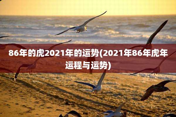 86年的虎2021年的运势(2021年86年虎年运程与运势)