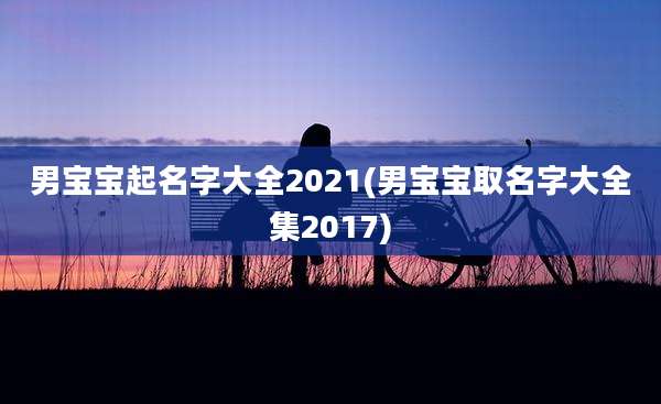 男宝宝起名字大全2021(男宝宝取名字大全集2017)