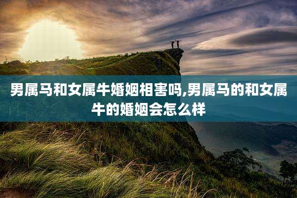 男属马和女属牛婚姻相害吗,男属马的和女属牛的婚姻会怎么样