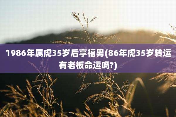 1986年属虎35岁后享福男(86年虎35岁转运有老板命运吗?)