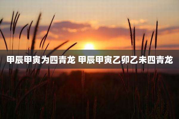 甲辰甲寅为四青龙 甲辰甲寅乙卯乙未四青龙