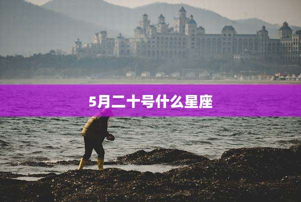 5月二十号什么星座