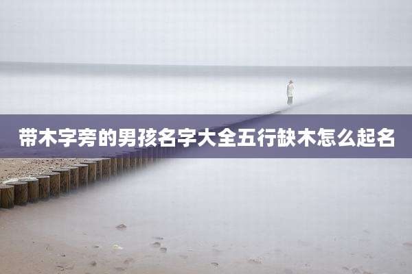 带木字旁的男孩名字大全五行缺木怎么起名