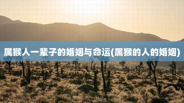 属猴人一辈子的婚姻与命运(属猴的人的婚姻)