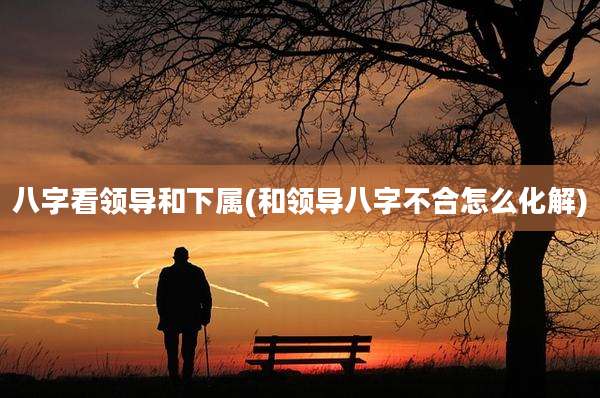 八字看领导和下属(和领导八字不合怎么化解)