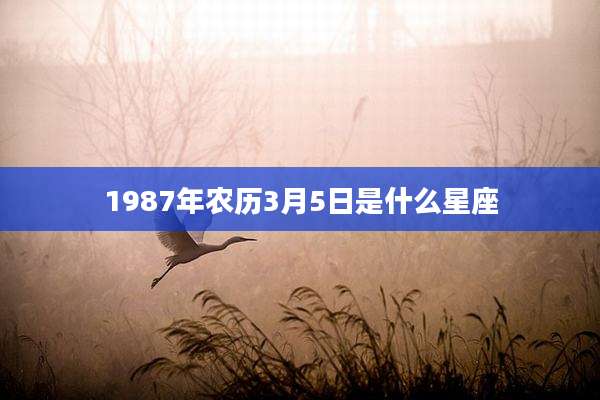 1987年农历3月5日是什么星座