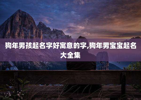 狗年男孩起名字好寓意的字,狗年男宝宝起名大全集