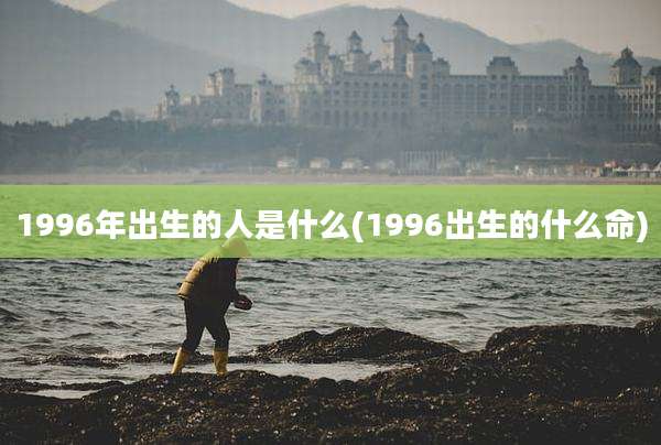 1996年出生的人是什么(1996出生的什么命)