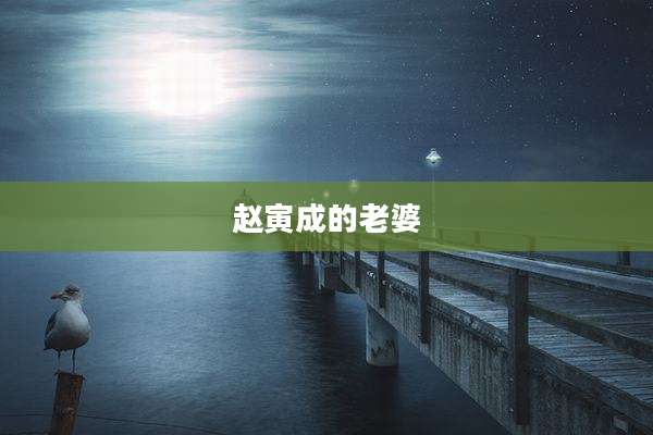 赵寅成的老婆