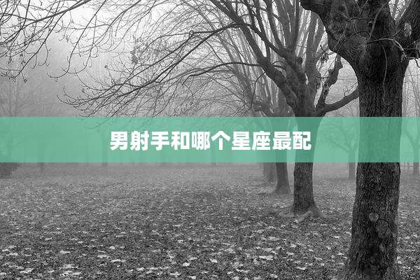 男射手和哪个星座最配