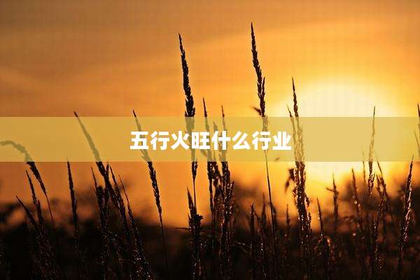 五行火旺什么行业