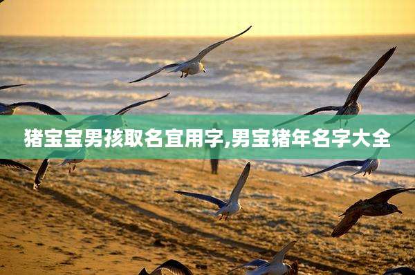 猪宝宝男孩取名宜用字,男宝猪年名字大全