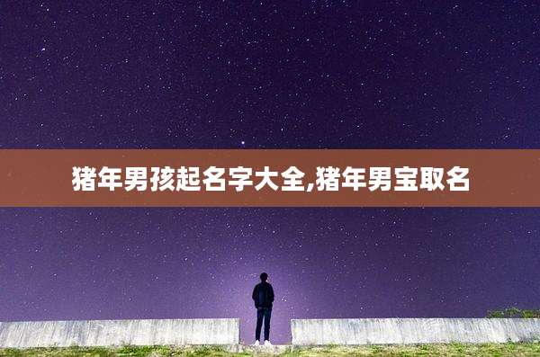 猪年男孩起名字大全,猪年男宝取名