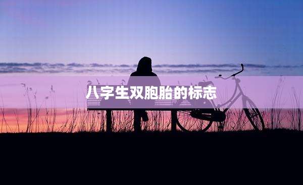 八字生双胞胎的标志