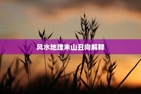 风水地理未山丑向解释