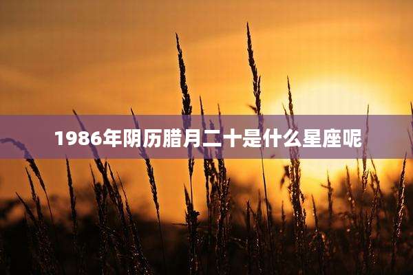 1986年阴历腊月二十是什么星座呢