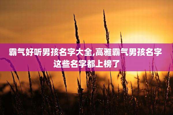 霸气好听男孩名字大全,高雅霸气男孩名字 这些名字都上榜了