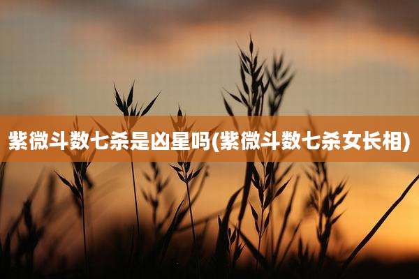 紫微斗数七杀是凶星吗(紫微斗数七杀女长相)