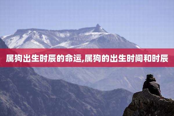 属狗出生时辰的命运,属狗的出生时间和时辰