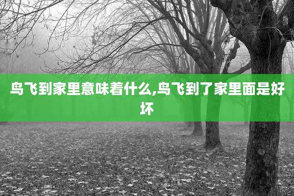 鸟飞到家里意味着什么,鸟飞到了家里面是好坏