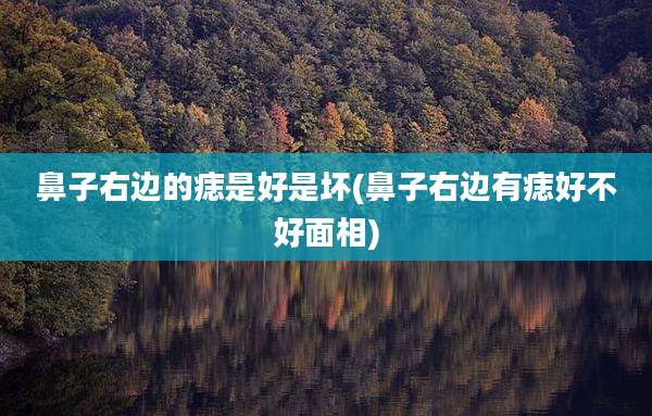 鼻子右边的痣是好是坏(鼻子右边有痣好不好面相)