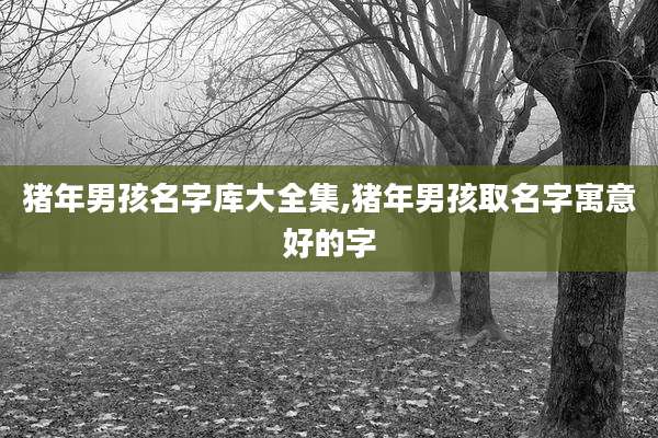 猪年男孩名字库大全集,猪年男孩取名字寓意好的字