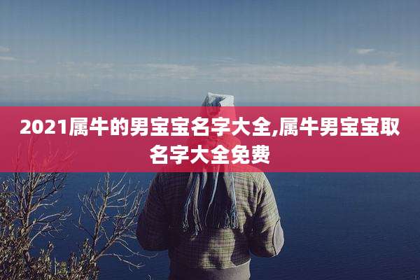 2021属牛的男宝宝名字大全,属牛男宝宝取名字大全免费