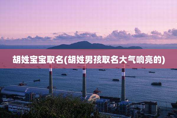 胡姓宝宝取名(胡姓男孩取名大气响亮的)