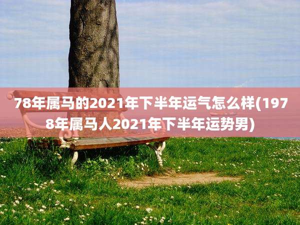 78年属马的2021年下半年运气怎么样(1978年属马人2021年下半年运势男)