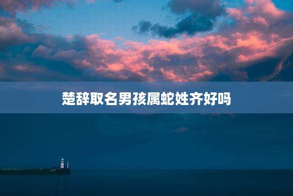 楚辞取名男孩属蛇姓齐好吗