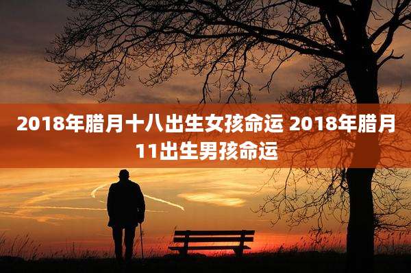 2018年腊月十八出生女孩命运 2018年腊月11出生男孩命运