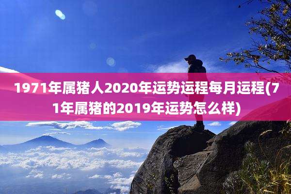 1971年属猪人2020年运势运程每月运程(71年属猪的2019年运势怎么样)