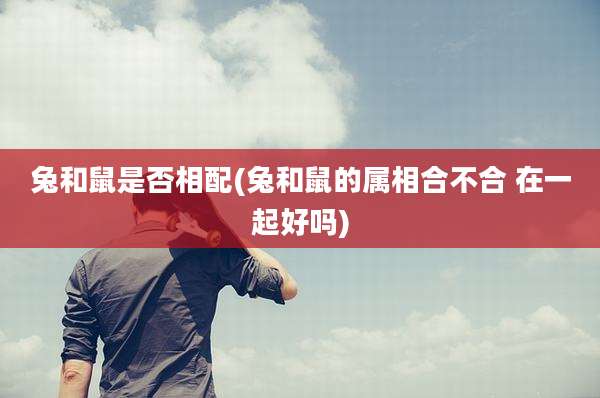 兔和鼠是否相配(兔和鼠的属相合不合 在一起好吗)