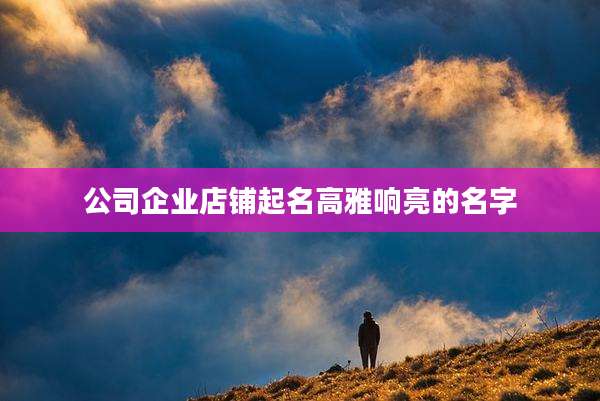 公司企业店铺起名高雅响亮的名字