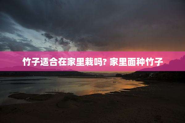 竹子适合在家里栽吗? 家里面种竹子