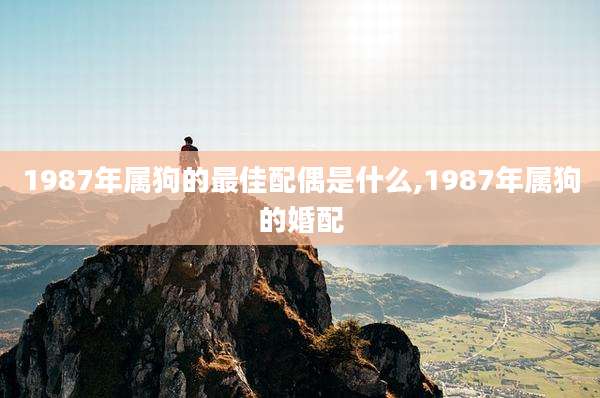 1987年属狗的最佳配偶是什么,1987年属狗的婚配