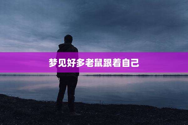 梦见好多老鼠跟着自己