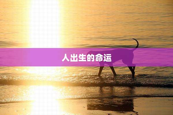 人出生的命运