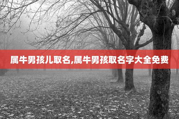 属牛男孩儿取名,属牛男孩取名字大全免费