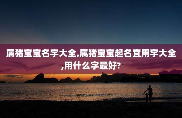属猪宝宝名字大全,属猪宝宝起名宜用字大全,用什么字最好?