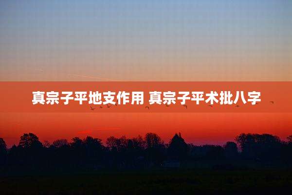真宗子平地支作用 真宗子平术批八字
