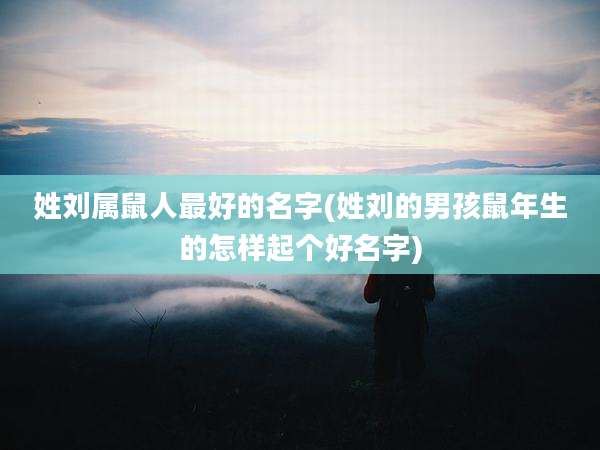 姓刘属鼠人最好的名字(姓刘的男孩鼠年生的怎样起个好名字)