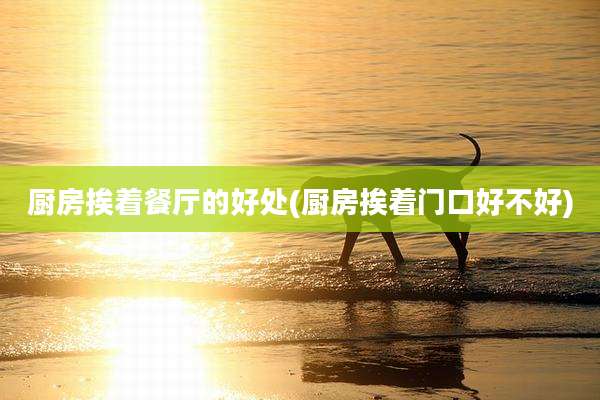 厨房挨着餐厅的好处(厨房挨着门口好不好)