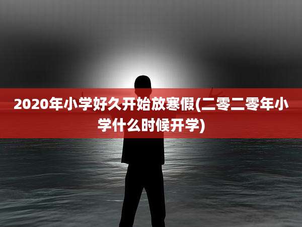 2020年小学好久开始放寒假(二零二零年小学什么时候开学)
