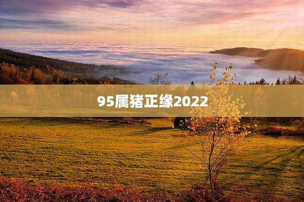 95属猪正缘2022