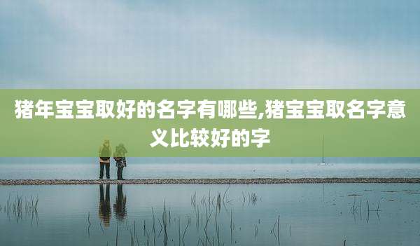 猪年宝宝取好的名字有哪些,猪宝宝取名字意义比较好的字