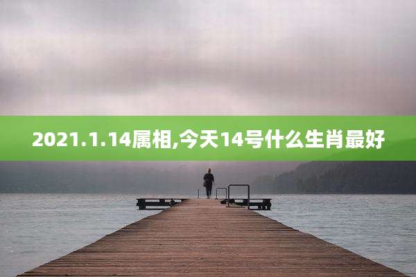 2021.1.14属相,今天14号什么生肖最好