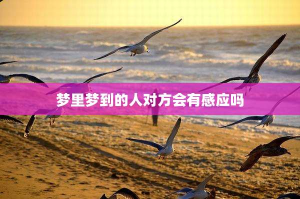 梦里梦到的人对方会有感应吗